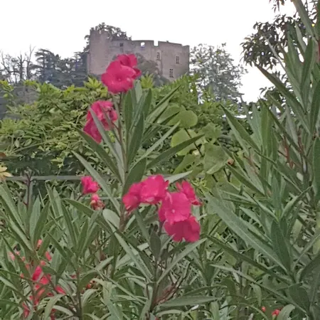 بيت ضيافة Les De Melis